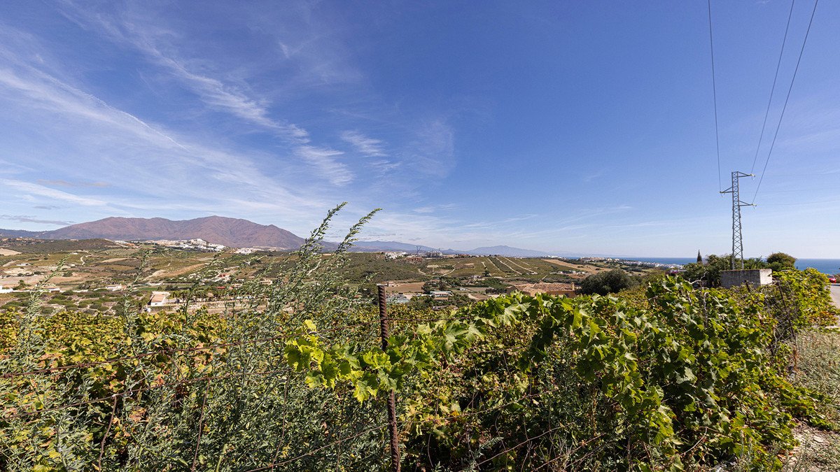 Property 35