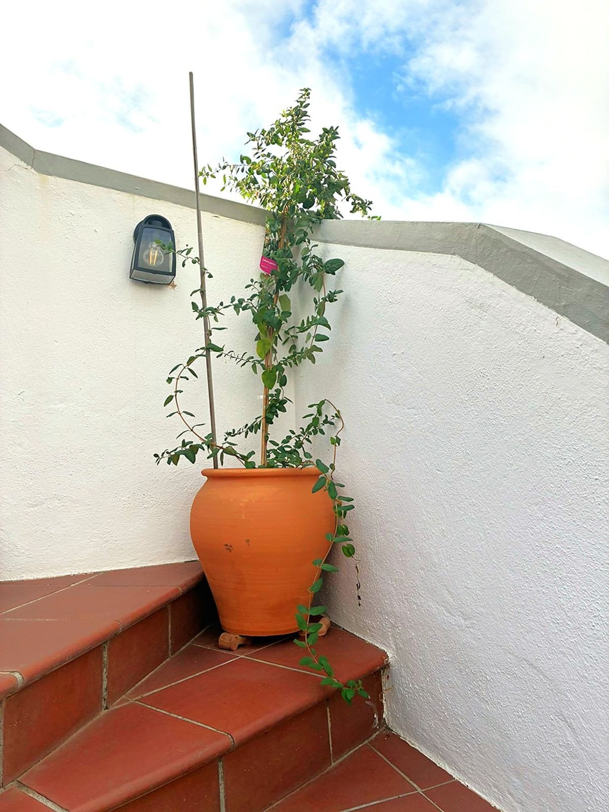 Property 103