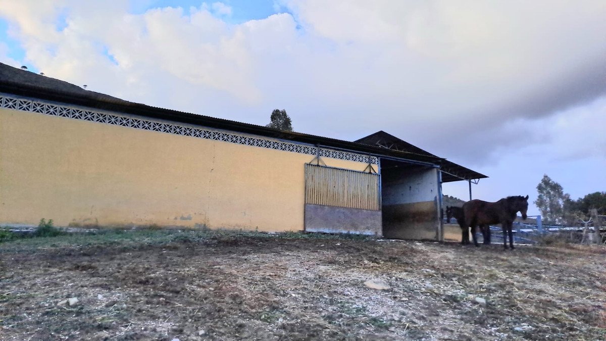 Property 11