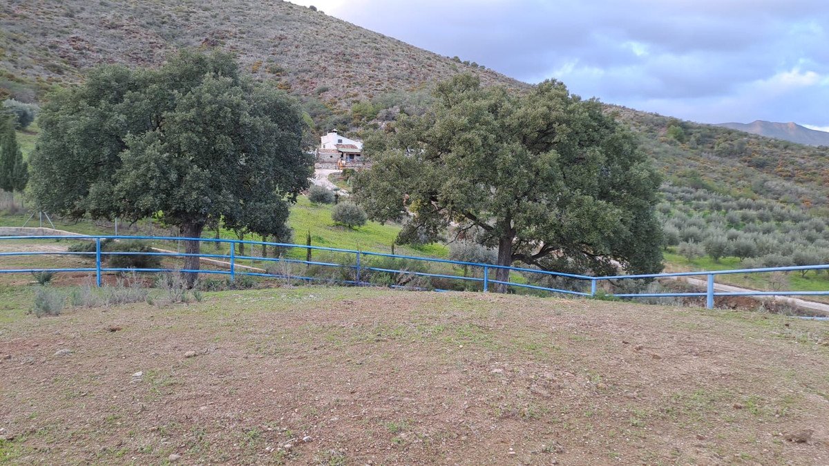 Property 26