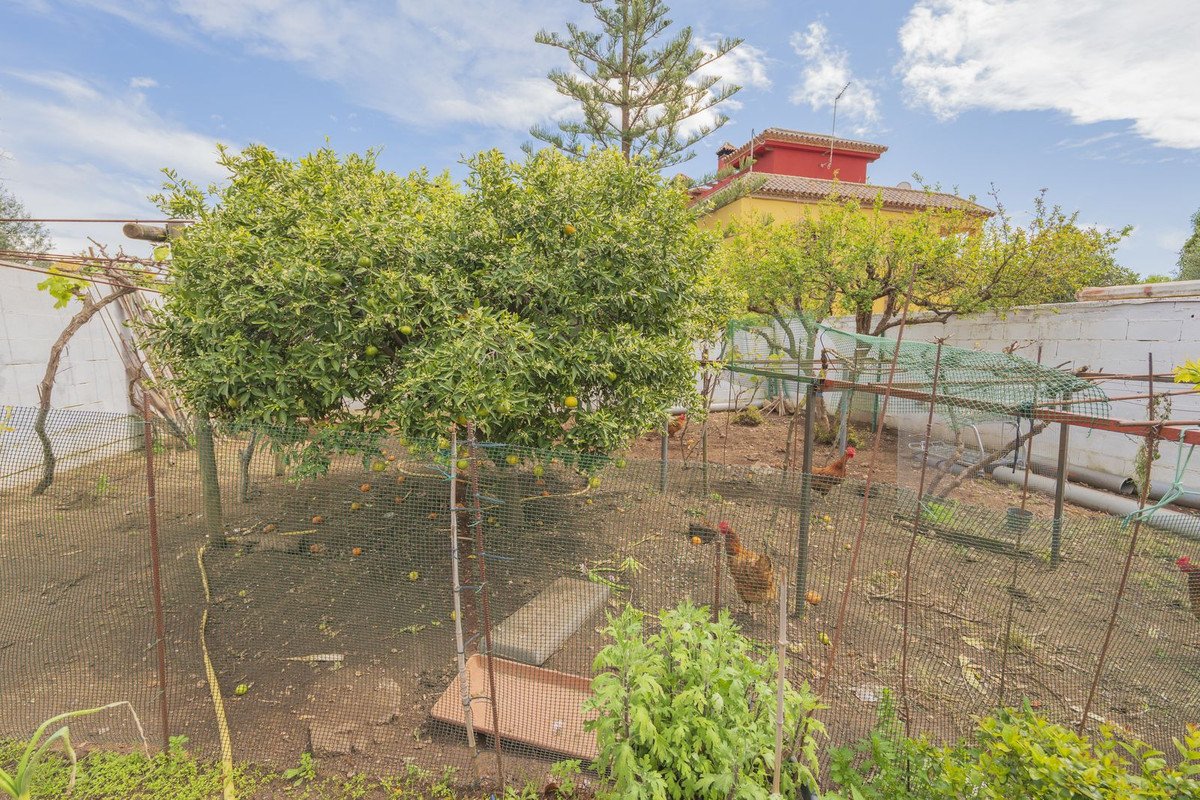 Property 15