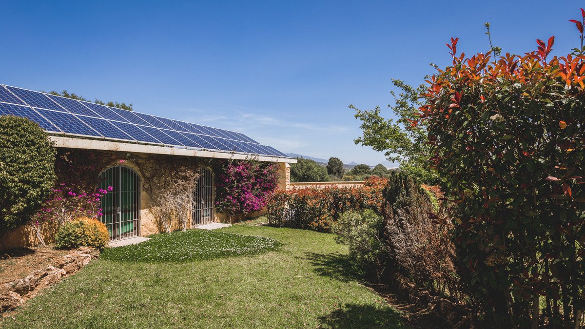 Property 36
