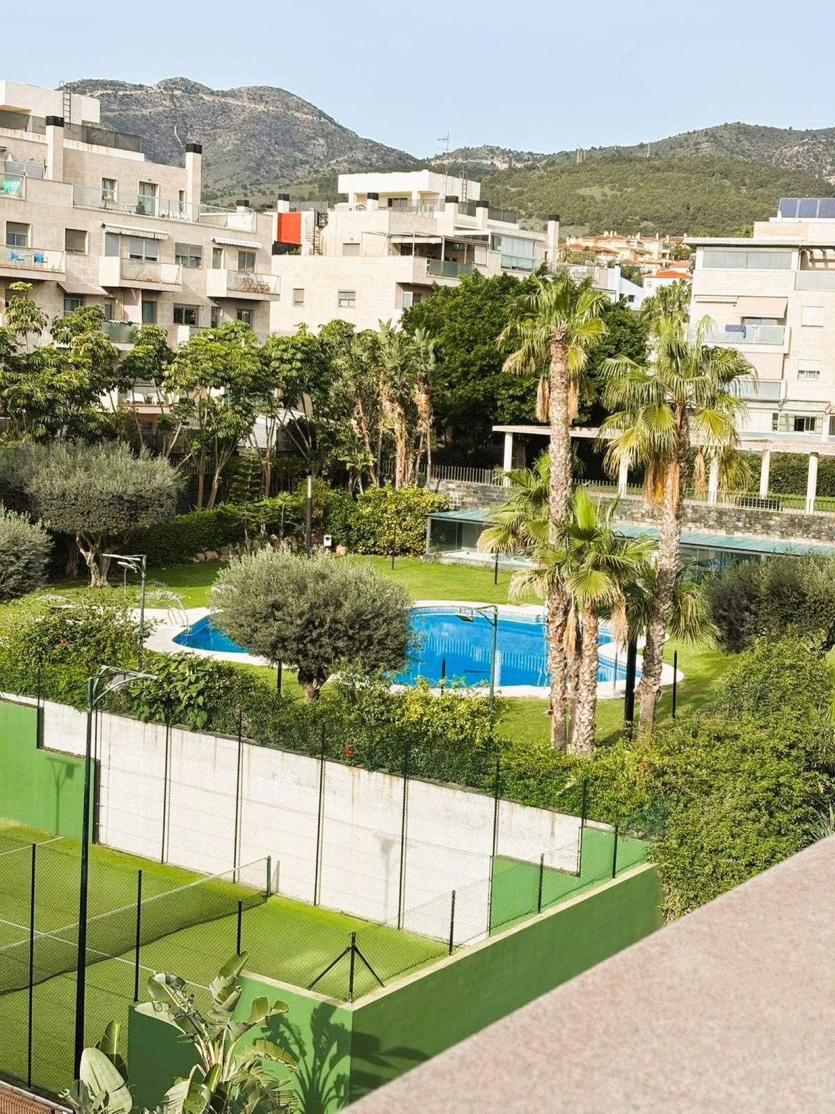 Property 31