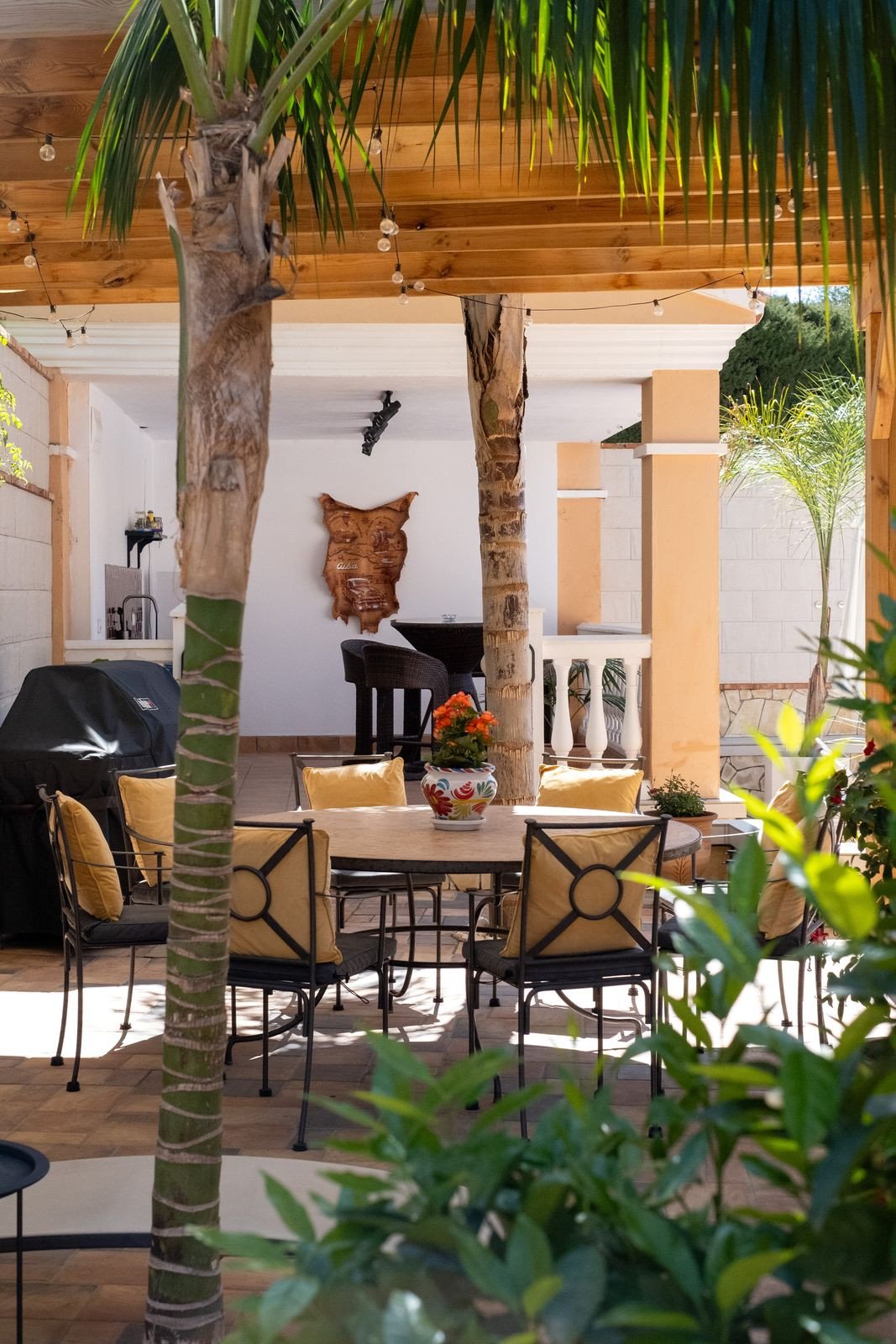 Property 29