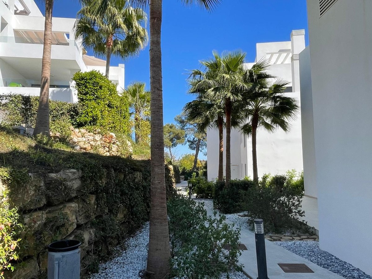 Property 21