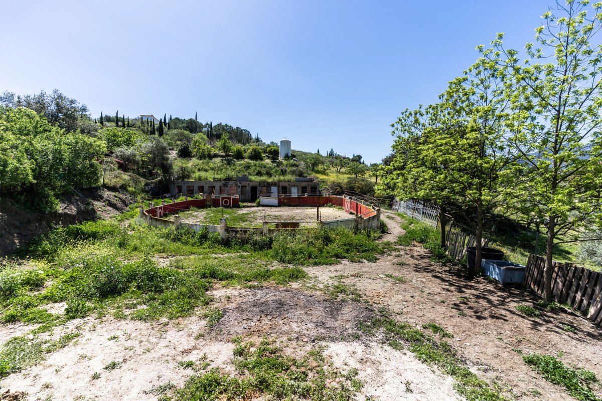 Property 22