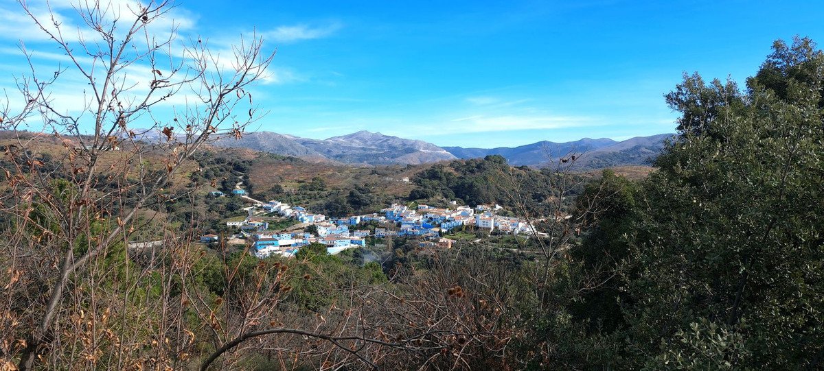 Propiedad 7