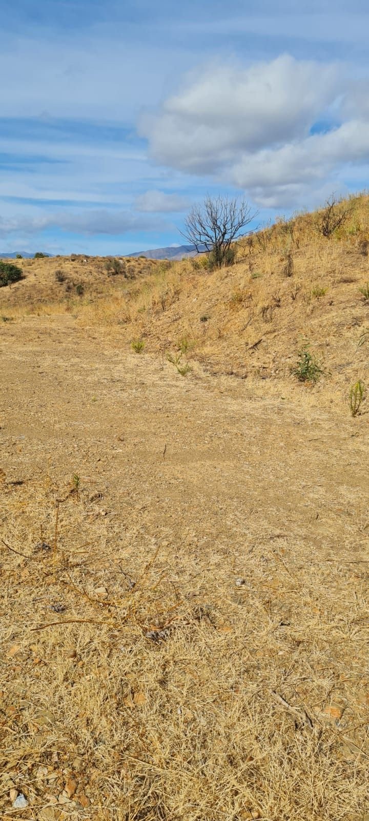 Propiedad 10
