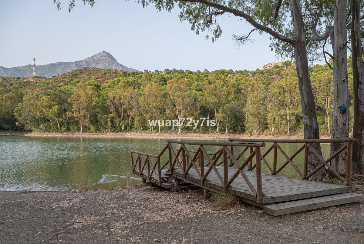 Propiedad 24