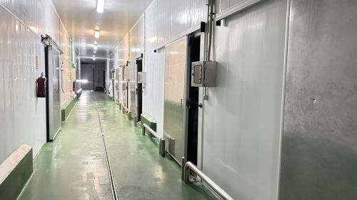 R4953802