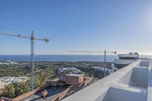 R5236594