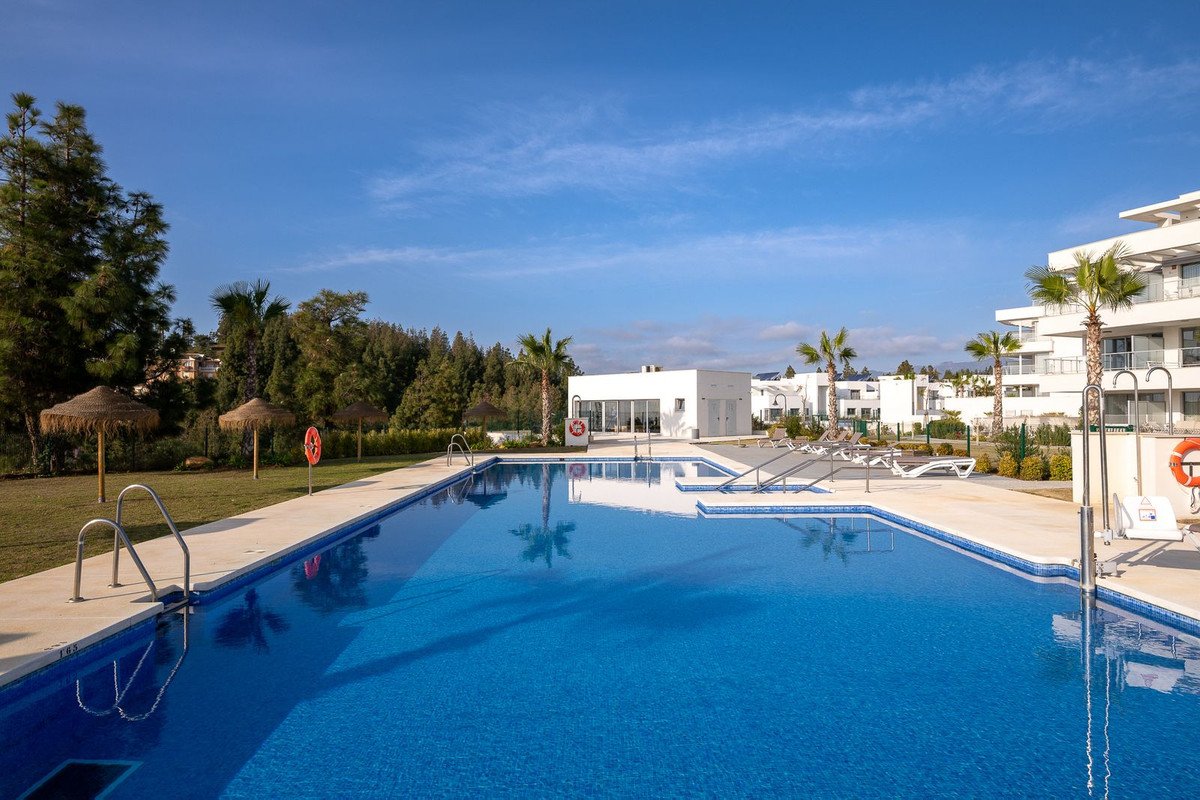 Propiedad 41