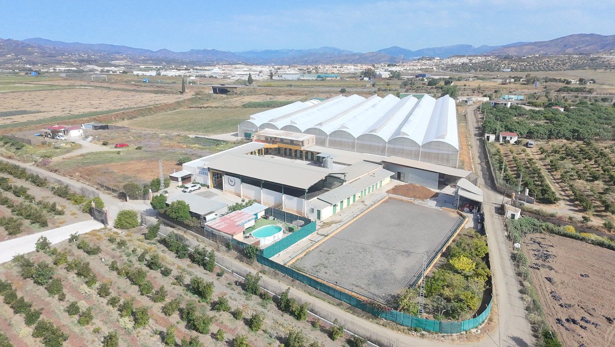 Propiedad 2