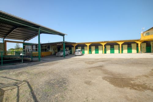 R5253754