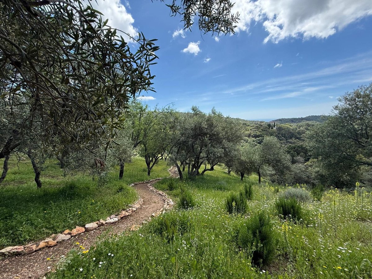 Property 36