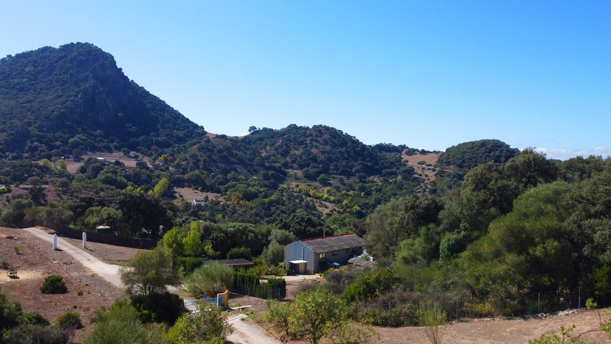 Property 25