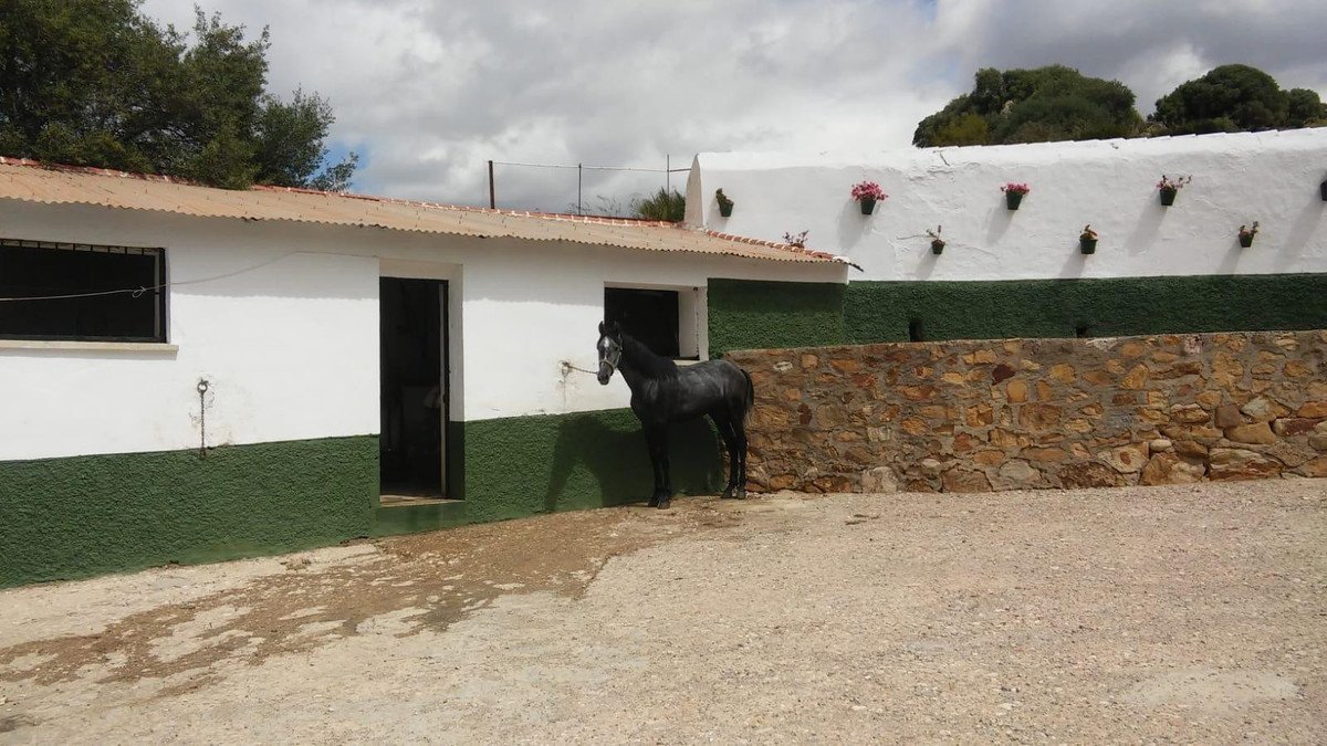 Property 6