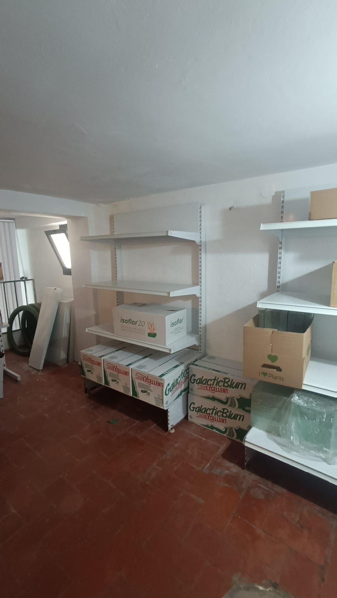 Property 10