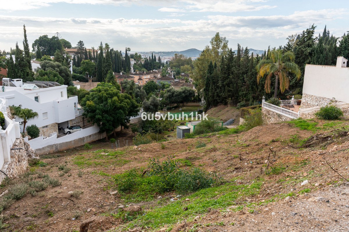Property 29
