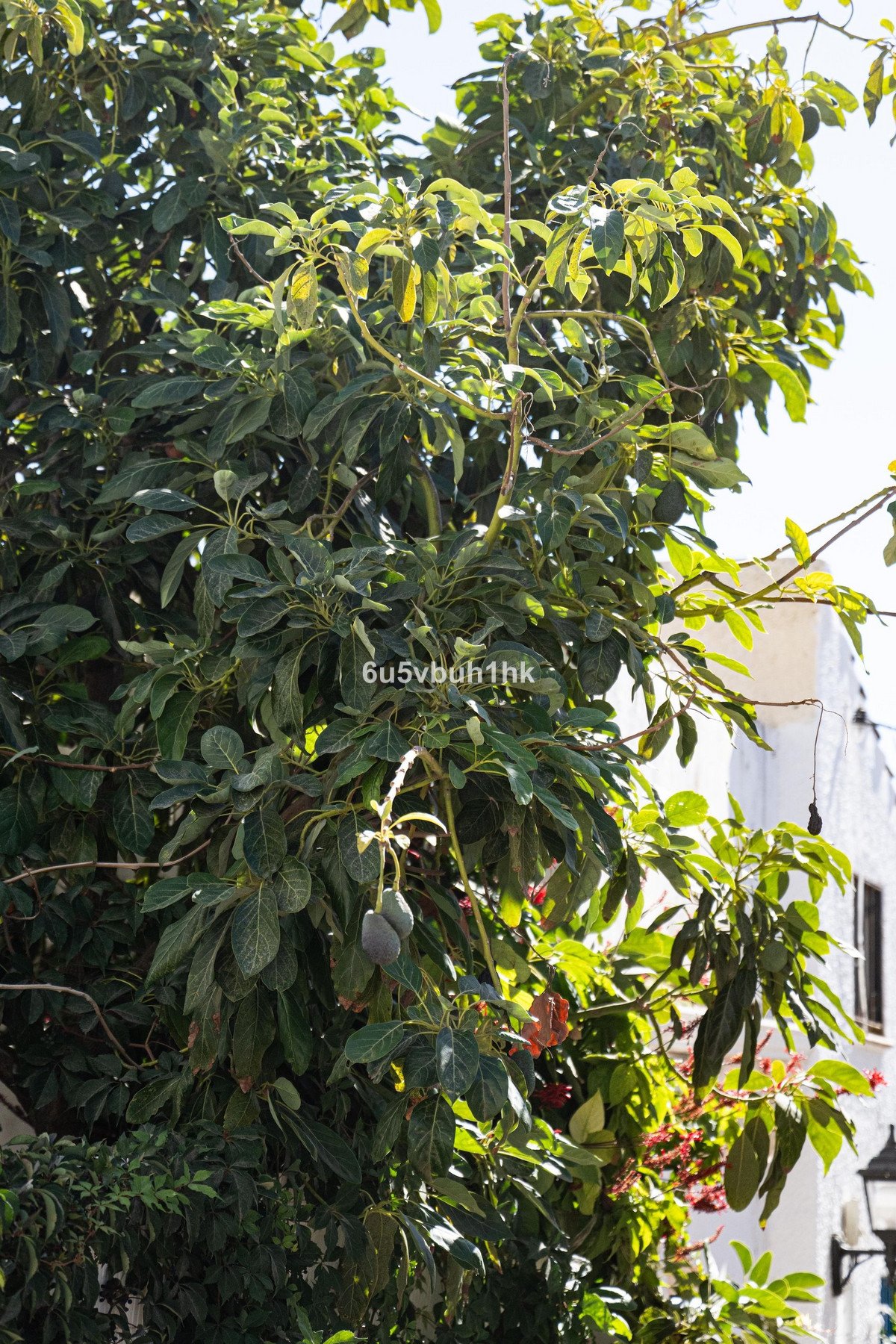 Property 26