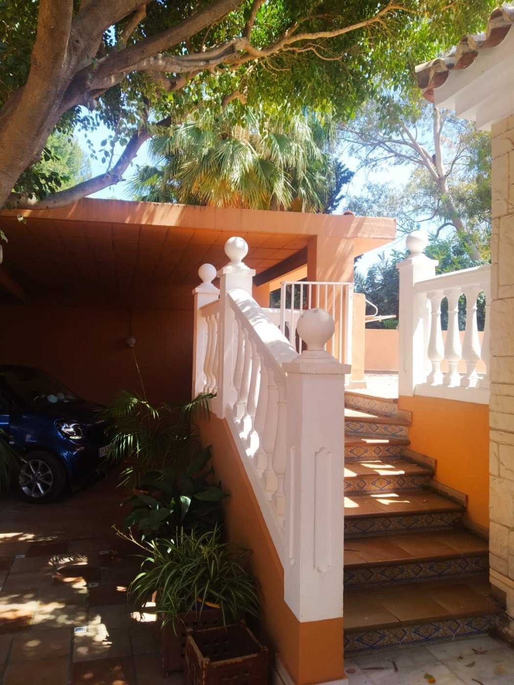Property 31