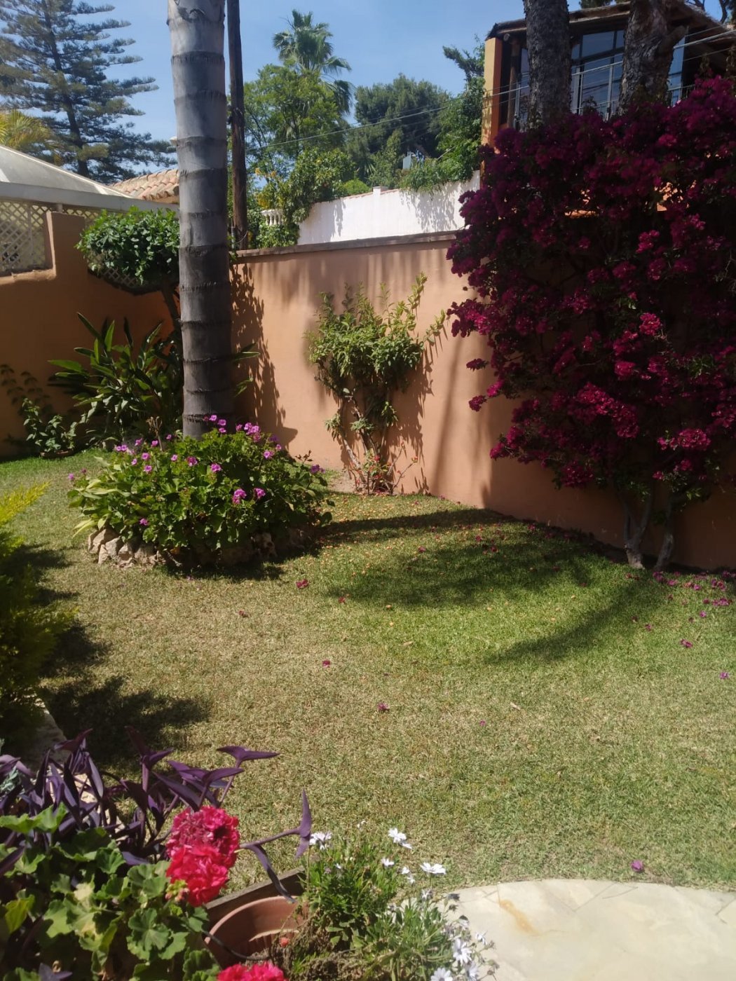 Property 33