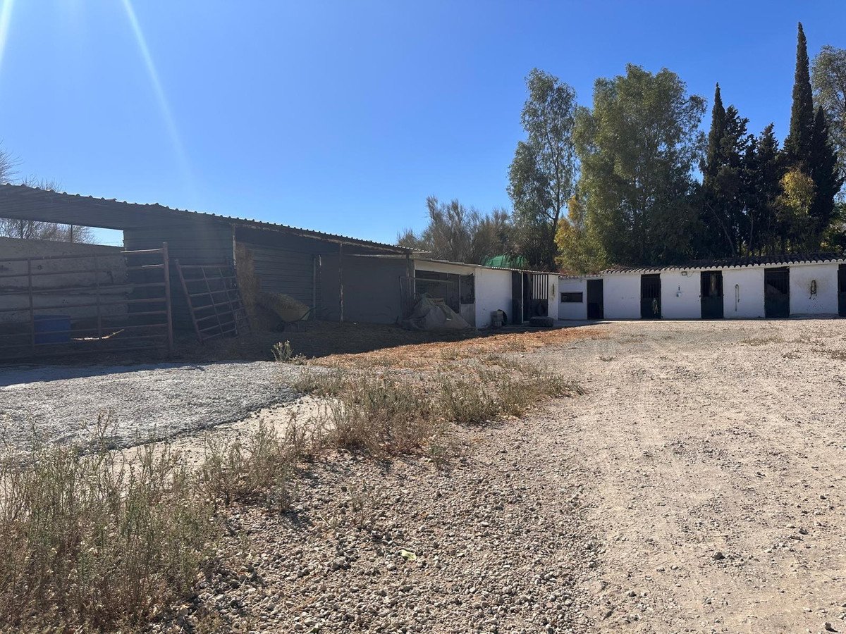 Property 23