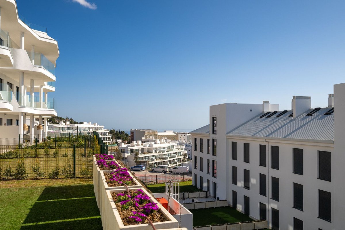 Property 24