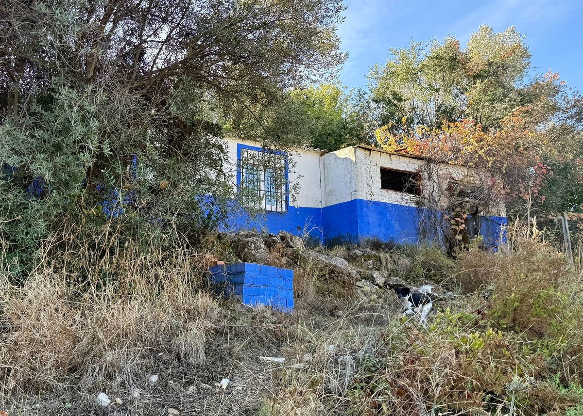 Property 19