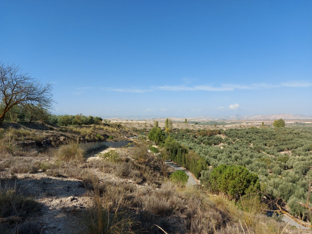 Property 20