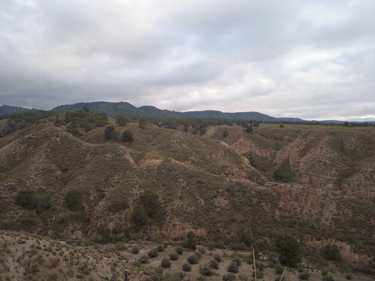 Propiedad 29