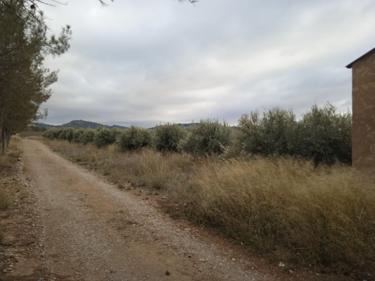 Propiedad 32