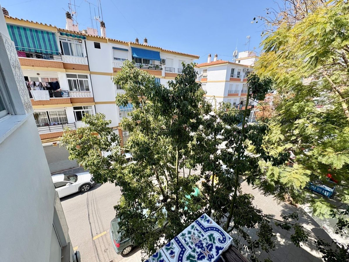 Property 24