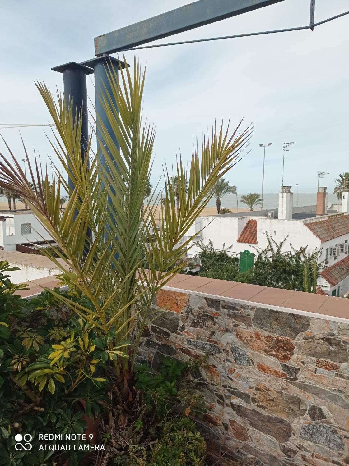 Propriedade 5