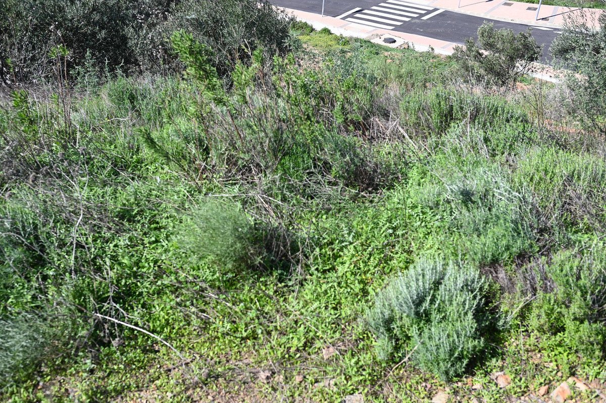 Propiedad 4