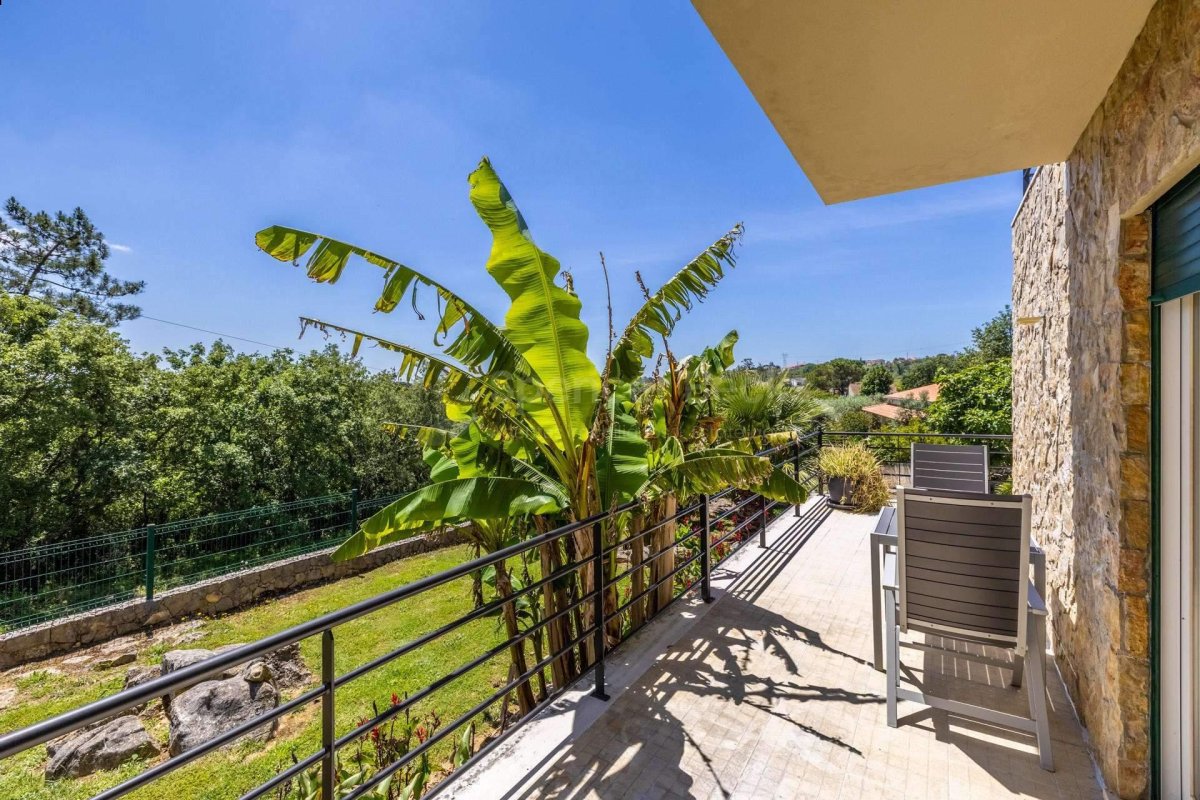 Property 36