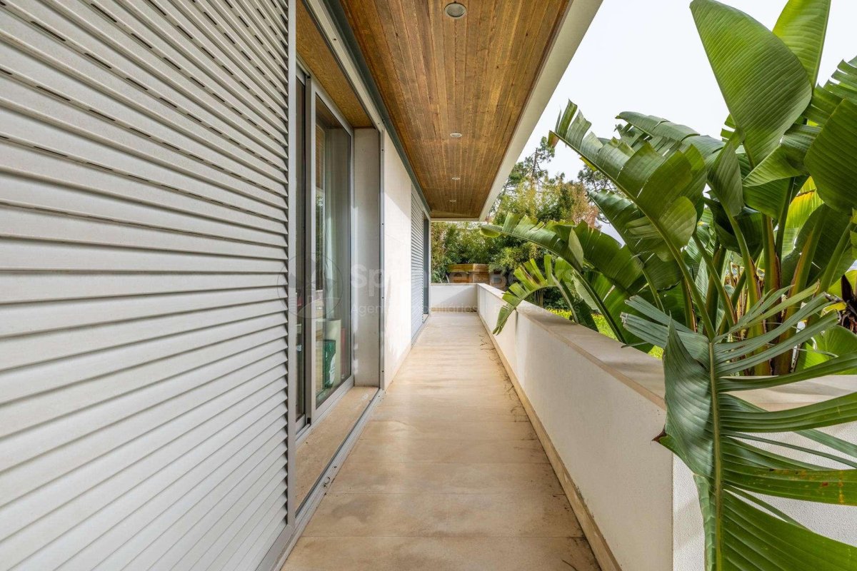 Property 38
