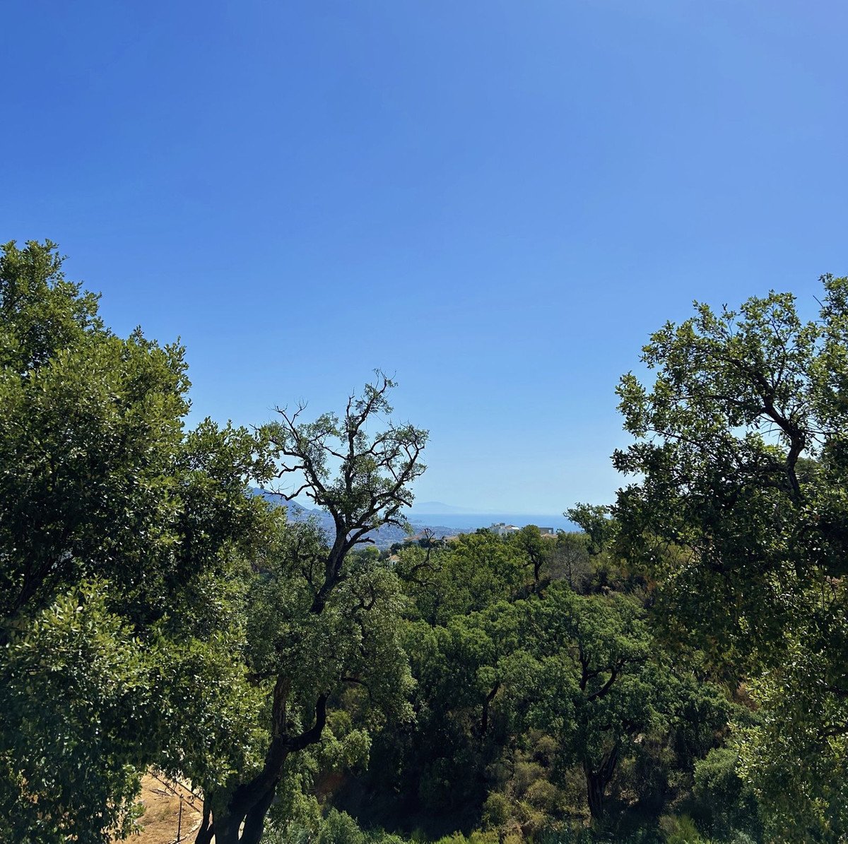 Property 4