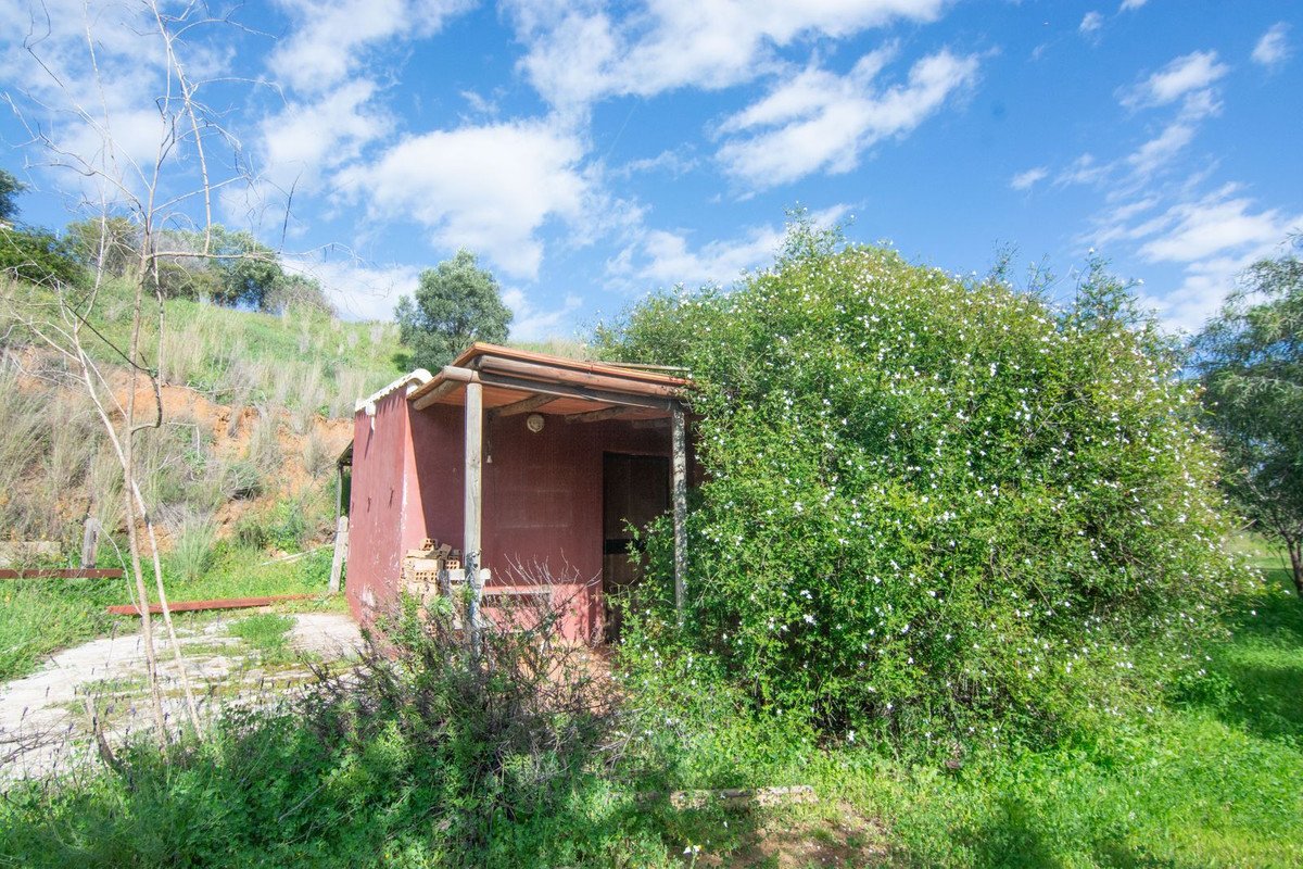 Property 34