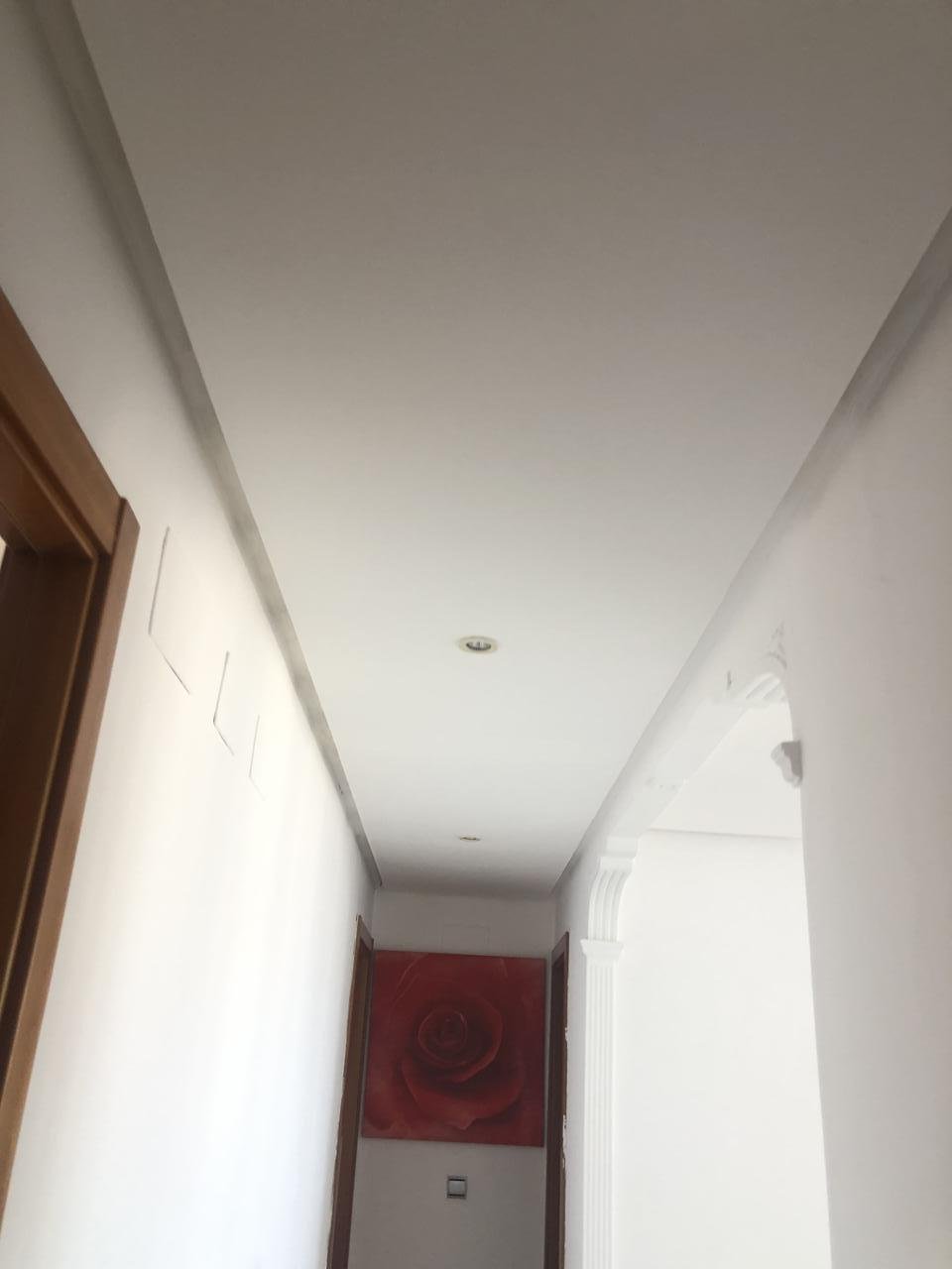 Propriedade 14