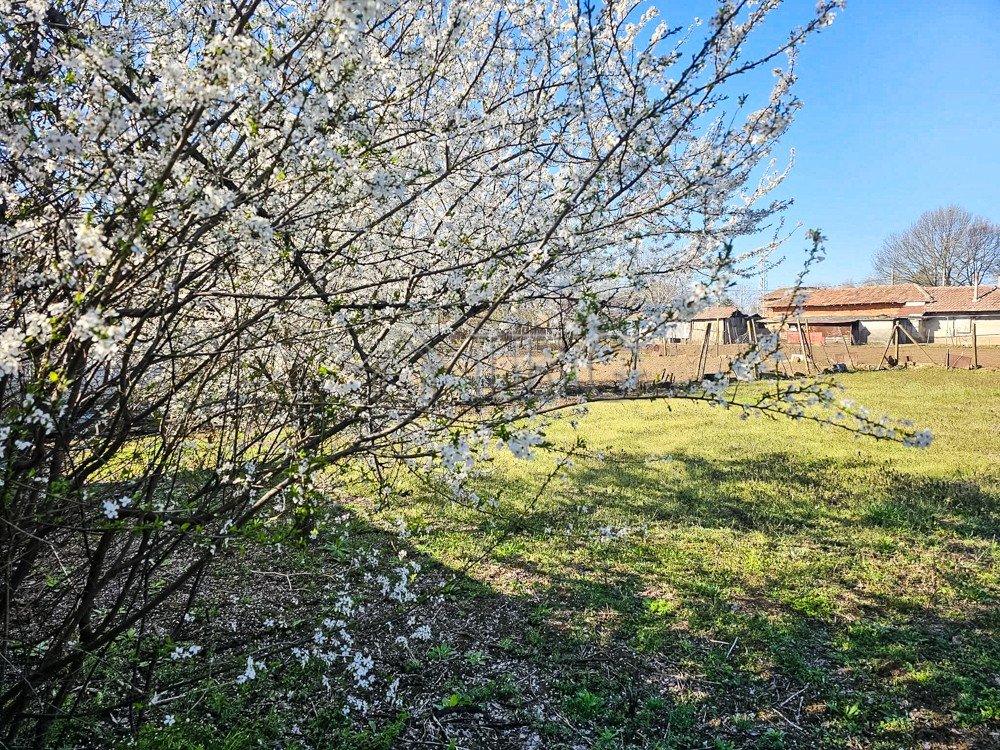 재산 2