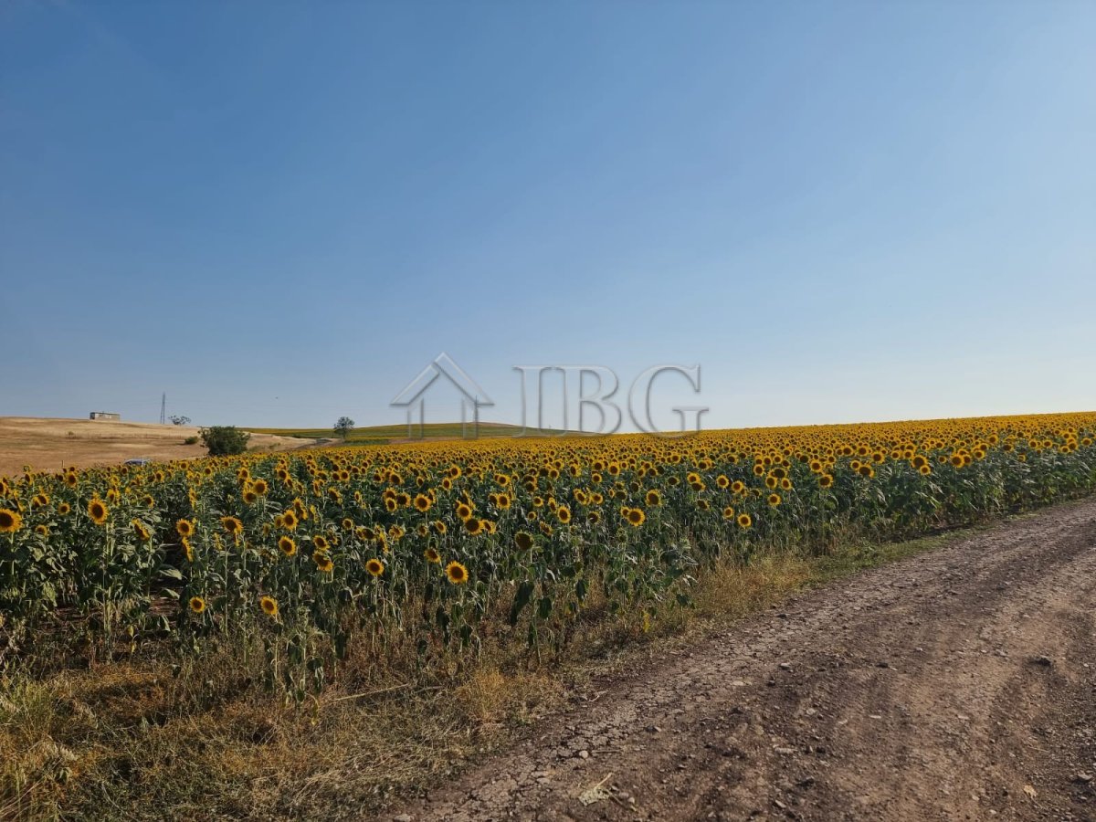 Property 10