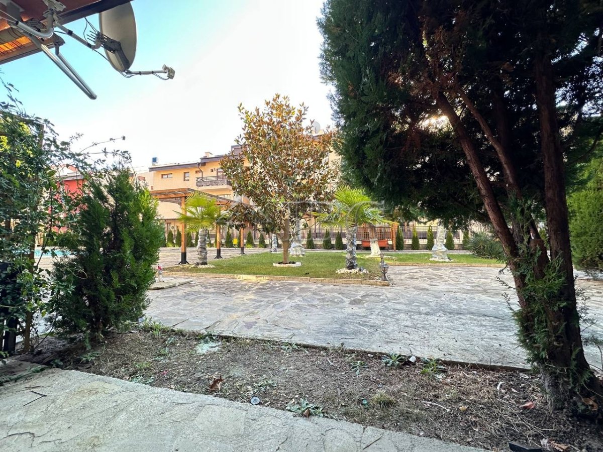 Property 19