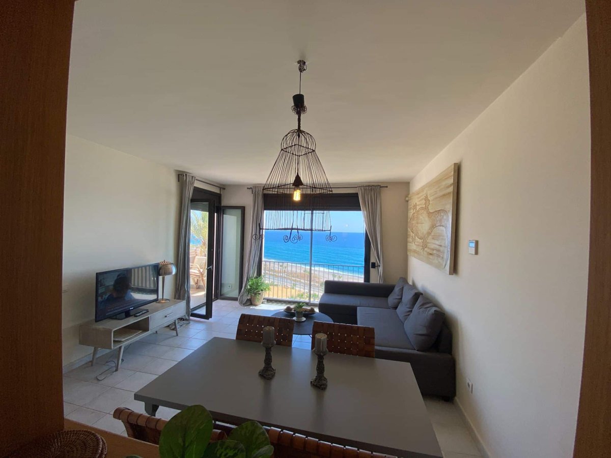 Property 24