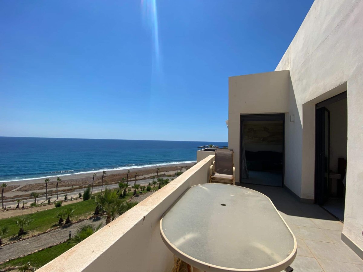 Property 36