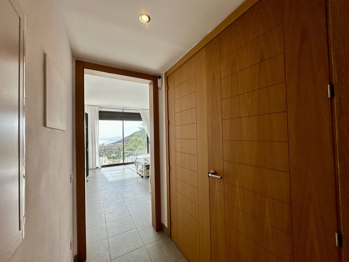 Property 38