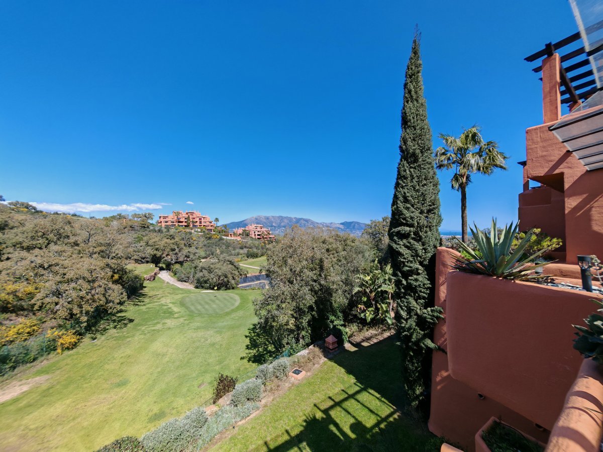 Property 24