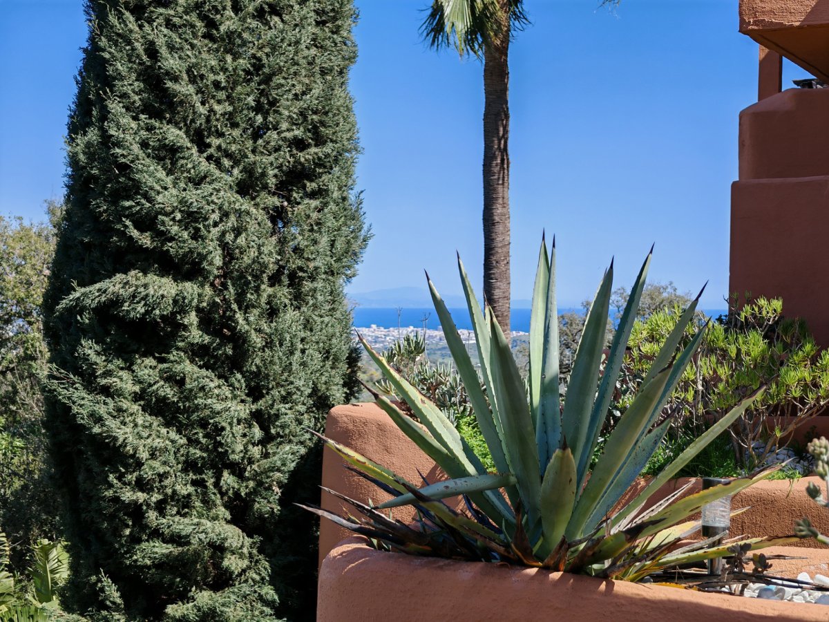 Property 25