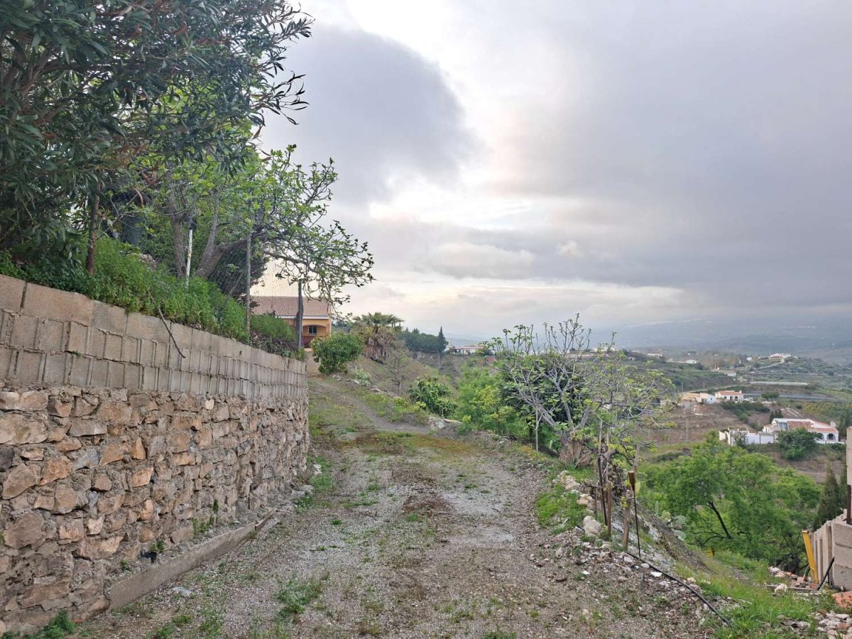 Propiedad 3
