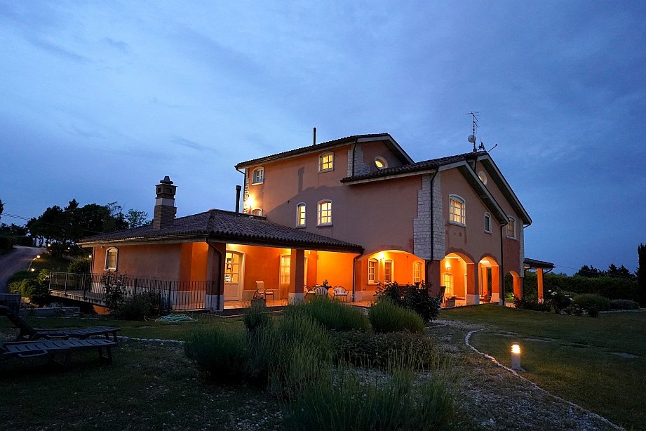 Property 37